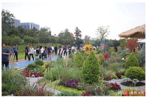 绿韵齐鲁 山东省第二届花境职业技能竞赛闭幕式暨开园仪式圆满礼成