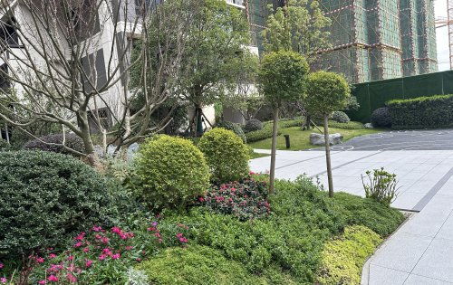 春日秘境 | 贵阳龙湖舜山府园林绿化景观赏鉴