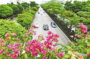 绿韵南宁 园林绿化聚力铸造生态城市新名片