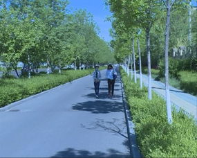 从园林绿化看城市发展变化